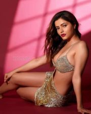 Hindi Actress Rubina Dilaik Hot Sexy Photoshoot Pictures 05