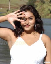 Hot Actress Namitha Stills 07 Hot Actress Namitha Stills 07