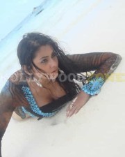 Hot Namitha stills 17