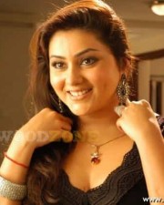 Hot Sexy Namitha Pictures 07