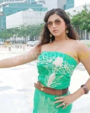 Hot Sexy Namitha Pictures 102