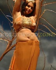 Hot Sexy Namitha Pictures 118 Hot Sexy Namitha Pictures 118