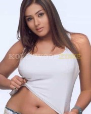 Hot Sexy Namitha Pictures 132 Hot Sexy Namitha Pictures 132