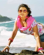 Hot Sexy Namitha Pictures 24 Hot Sexy Namitha Pictures 24