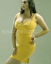Hot Sexy Namitha Pictures 25