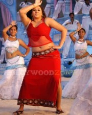 Hot Sexy Namitha Pictures 55
