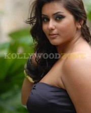Hot Sexy Namitha Stills 063 Hot Sexy Namitha Stills 063