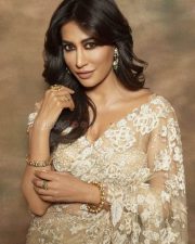 Intriguing Chitrangada Singh in a Biege Saree Photoshoot Pictures 01