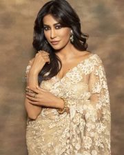 Intriguing Chitrangada Singh in a Biege Saree Photoshoot Pictures 04