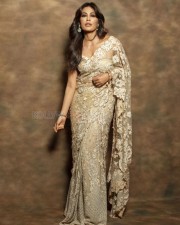 Intriguing Chitrangada Singh in a Biege Saree Photoshoot Pictures 09