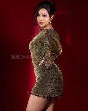 Luminous Actress Rittika Chakraborty in a Gold Metallic Backless Dress Photos 01