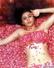 Namitha Hot Pics 05 Namitha Hot Pics 05