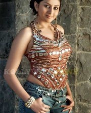 Namitha Hot Pics 30 Namitha Hot Pics 30