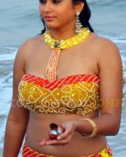 Namitha Hot Pics 34 Namitha Hot Pics 34