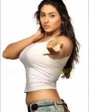 Namitha Hot Pics 56 Namitha Hot Pics 56