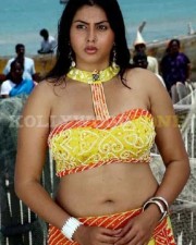 Namitha Hot Sexy Pictures 06 Namitha Hot Sexy Pictures 06