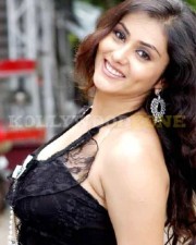 Namitha Hot Sexy Pictures 22 Namitha Hot Sexy Pictures 22