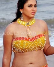Namitha Hot Sexy Pictures 31 Namitha Hot Sexy Pictures 31