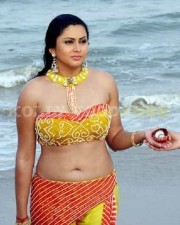 Namitha Hot Sexy Pictures 32 Namitha Hot Sexy Pictures 32
