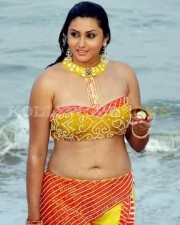 Namitha Hot Sexy Pictures 34 Namitha Hot Sexy Pictures 34