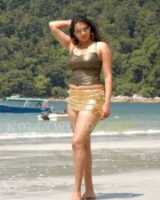 Namitha Hot Spicy Pics 09 Namitha Hot Spicy Pics 09