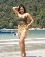 Namitha Hot Spicy Pics 10 Namitha Hot Spicy Pics 10