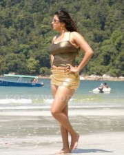 Namitha Hot Spicy Pics 11 Namitha Hot Spicy Pics 11