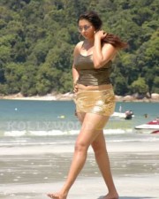 Namitha Hot Spicy Pics 13 Namitha Hot Spicy Pics 13