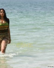 Namitha Hot Spicy Pics 14 Namitha Hot Spicy Pics 14