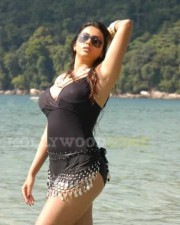 Namitha Hot Spicy Pics 17 Namitha Hot Spicy Pics 17
