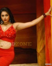 Namitha Hot Spicy Pics 18 Namitha Hot Spicy Pics 18