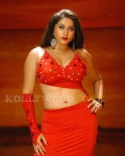 Namitha Hot Spicy Pics 20 Namitha Hot Spicy Pics 20