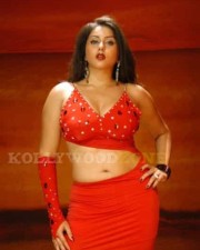 Namitha Hot Spicy Pics 21 Namitha Hot Spicy Pics 21