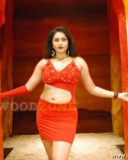 Namitha Hot Spicy Pics 22 Namitha Hot Spicy Pics 22