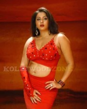 Namitha Hot Spicy Pics 24 Namitha Hot Spicy Pics 24