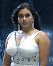 Namitha Hot Spicy Pics 49