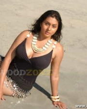 Namitha Hot Spicy Pics 54