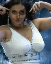 Namitha Hot Spicy Pics 78