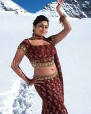 Namitha New Stills 01