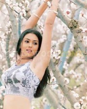 Namitha Sexy Image Gallery 10
