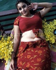 Namitha Sexy Image Gallery 11
