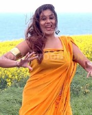 Namitha Very Hot In Saree 10
