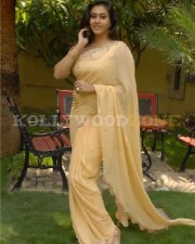 Namitha Very Hot In Saree 15