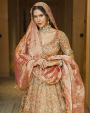 Punjabi Beauty Sonam Bajwa In a Golden Bridal Gown at Bombay Times Fashion Week Photos 05 Punjabi Beauty Sonam Bajwa In a Golden Bridal Gown at Bombay Times Fashion Week Photos 05