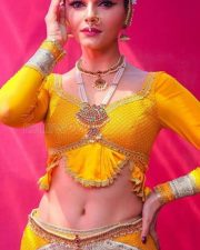 Rubina Dilaik Traditional Dress Navel Photos 01