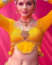 Rubina Dilaik Traditional Dress Navel Photos 02