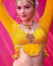 Rubina Dilaik Traditional Dress Navel Photos 03