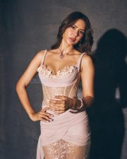 Sensual Sonam Bajwa in a Pink Shimmery Corset Style Bodice and Sparkling Sequined Skirt with a Blush Pink Wrap Pictures 03