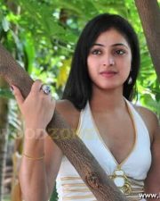 Sexy Actress Hari Priya Stills 29
