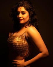 Sexy Ritika Singh in a Golden Metallic Crop Top Pictures 02